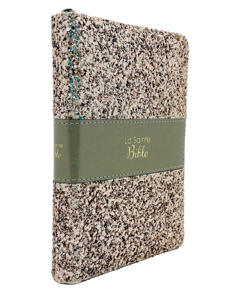 BIBLE SEGOND 1910 PAILLETEE BRONZE DORE TRANCHE OR FERMETURE A GLISSIERE