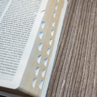 BIBLE SEGOND 21 COMPACTE "PREMIUM STYLE" SOUPLE TOILE BLANCHE AVEC ONGLETS TRANCHES DOREES