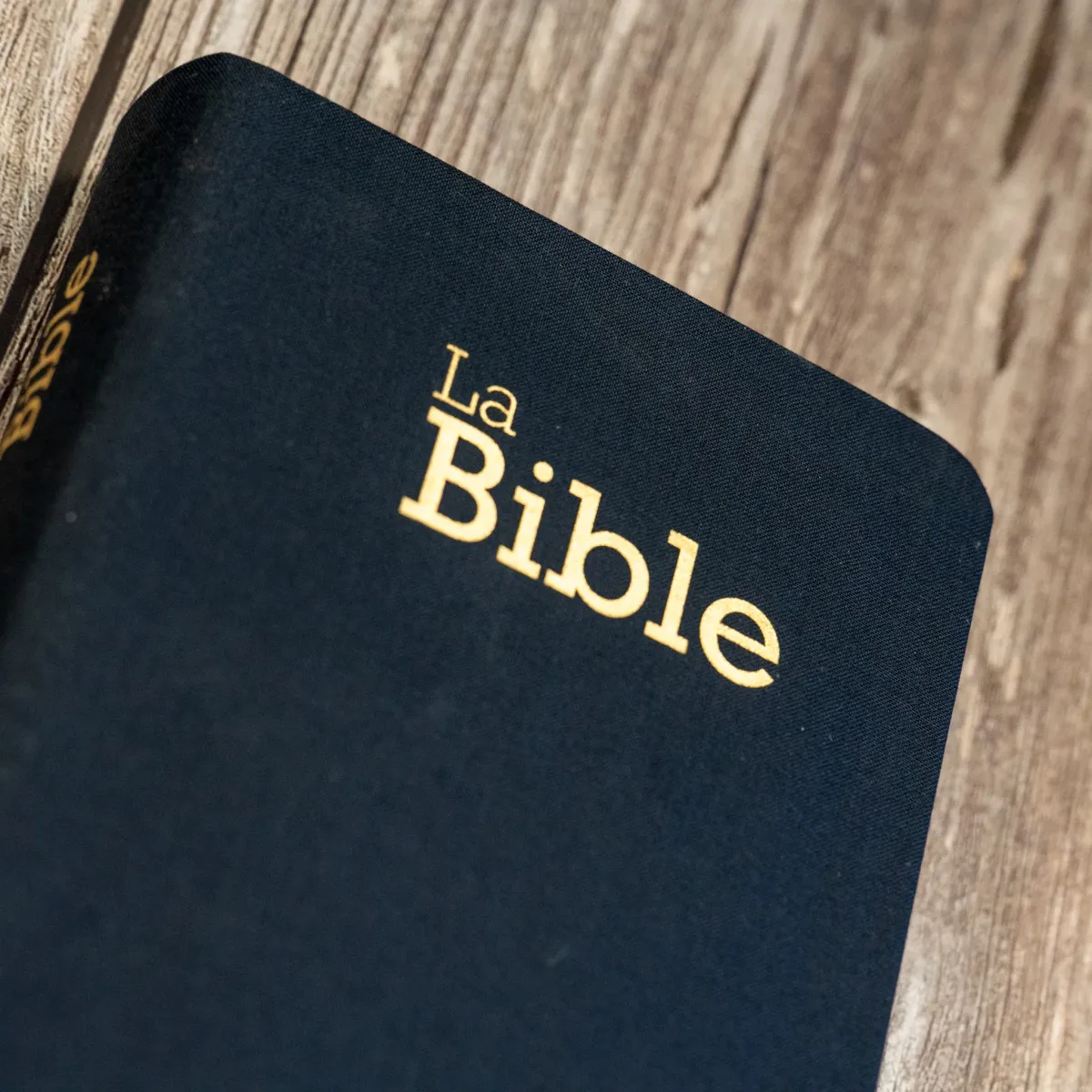 BIBLE SEGOND 21 COMPACTE "PREMIUM STYLE" SOUPLE TOILE ANTHRACITE