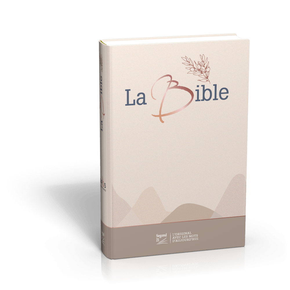 BIBLE SEGOND 21 GROS CARACTERES RIGIDE TOILEE MATELASSEE