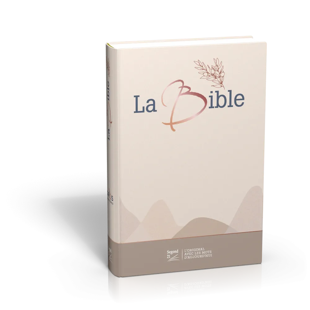 BIBLE SEGOND 21 GROS CARACTERES RIGIDE TOILEE MATELASSEE
