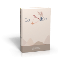 BIBLE SEGOND 21 GROS CARACTERES RIGIDE TOILEE MATELASSEE