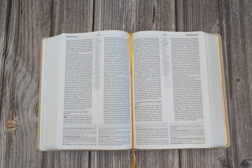 BIBLE NEG MACARTHUR SEMI RIGIDE TOILE BEIGE