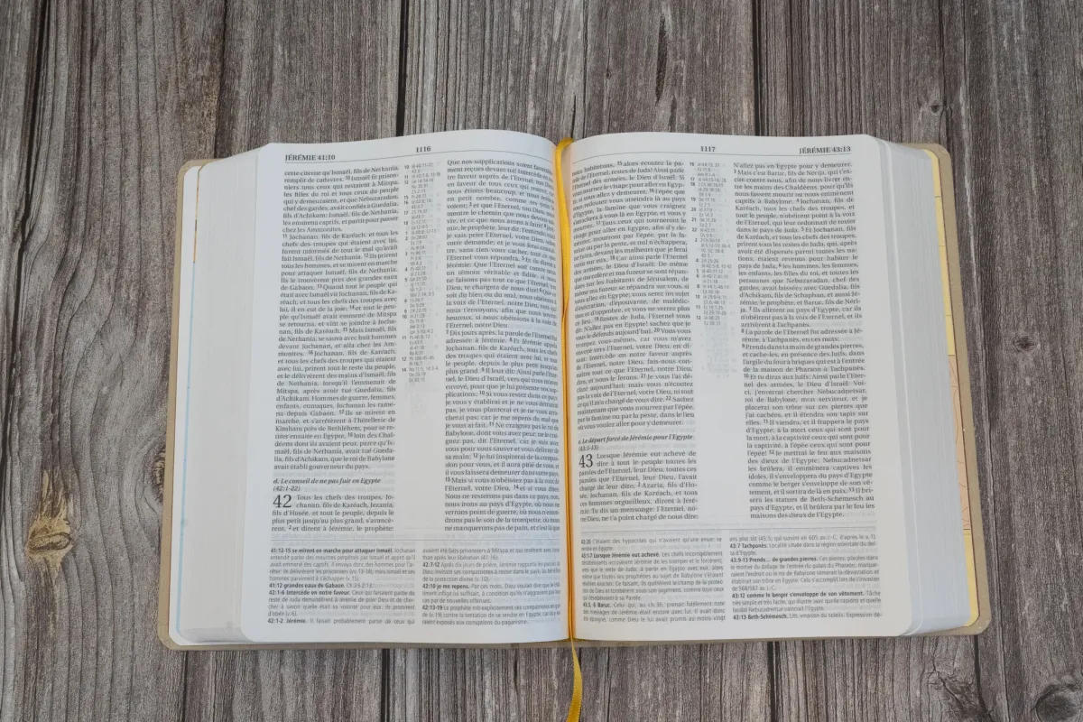 BIBLE NEG MACARTHUR SEMI RIGIDE TOILE BEIGE