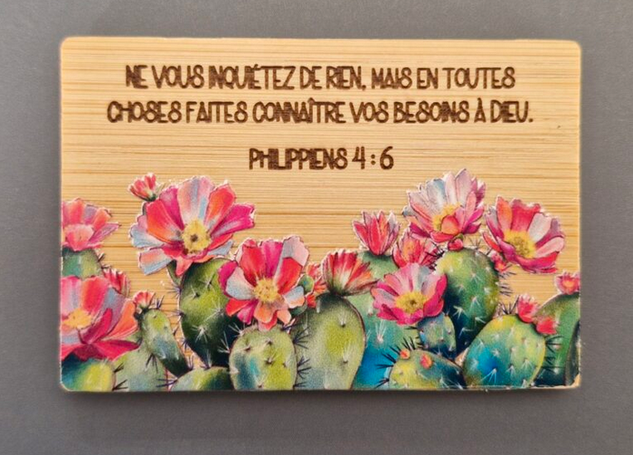 MAGNET BAMBOU PHILIPPIENS 4:6