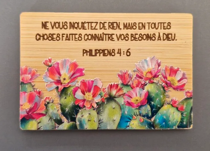 MAGNET BAMBOU PHILIPPIENS 4:6