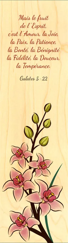 MARQUE-PAGE MAGNET LE FRUIT DE L'ESPRIT EPH 5.22