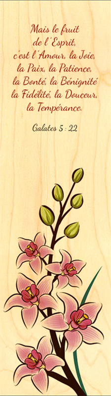 MARQUE-PAGE MAGNET LE FRUIT DE L'ESPRIT EPH 5.22