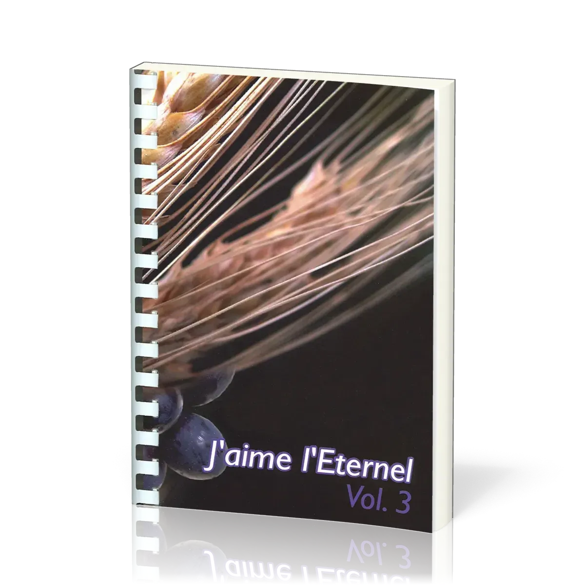 J'AIME L'ETERNEL VOL. 3 RECUEIL - 722 A 943