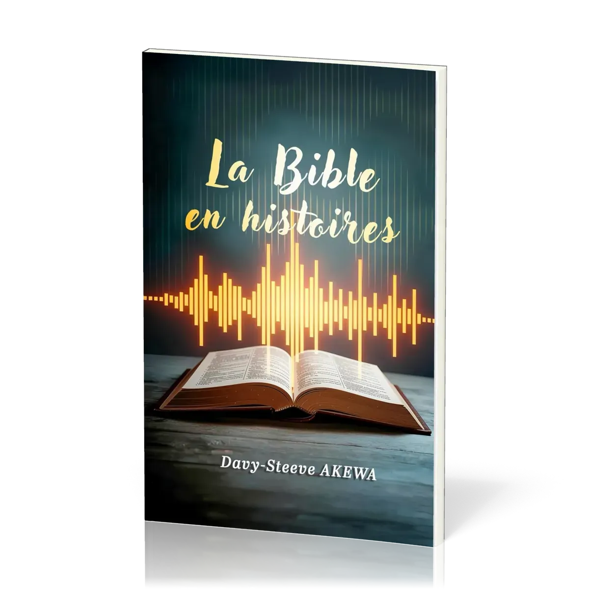 BIBLE EN HISTOIRES (LA)