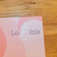 BIBLE SEGOND 21 GROS CARACTERES RIGIDE ILLUSTREE ROSE