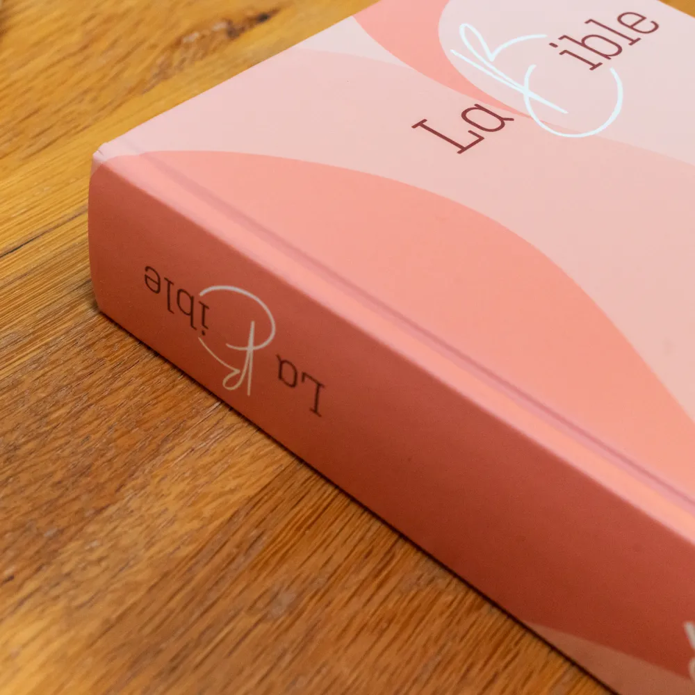 BIBLE SEGOND 21 GROS CARACTERES RIGIDE ILLUSTREE ROSE