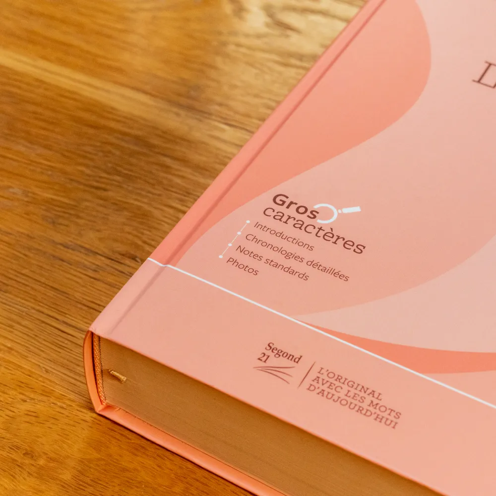 BIBLE SEGOND 21 GROS CARACTERES RIGIDE ILLUSTREE ROSE