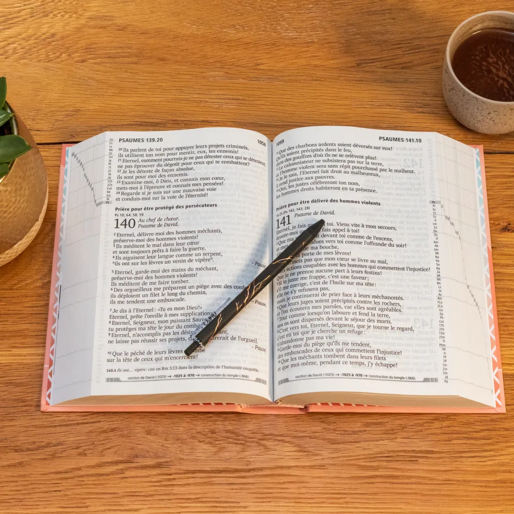 BIBLE SEGOND 21 GROS CARACTERES RIGIDE ILLUSTREE ROSE