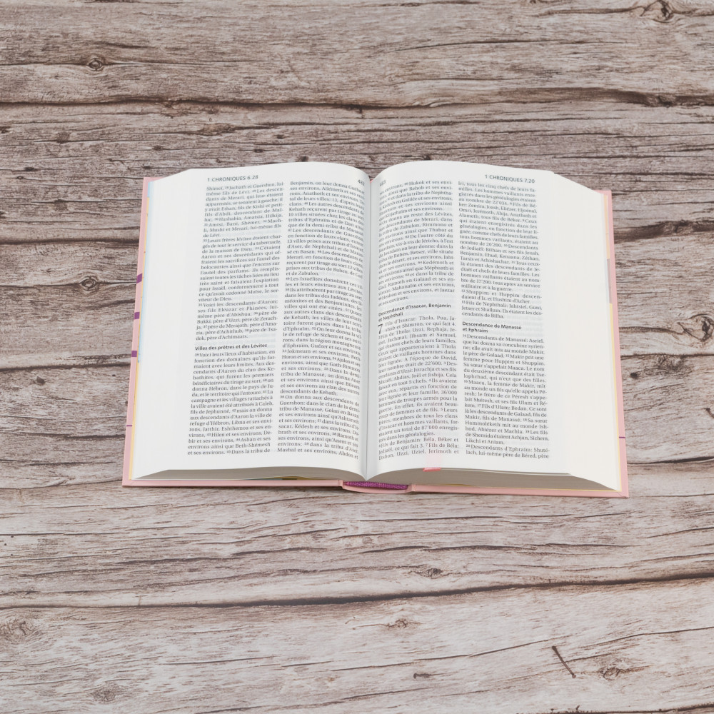 BIBLE SEGOND 21 COMPACTE RIGIDE SKIVERTEX ROSE GUIMAUVE - NOUVEAU PAPIER