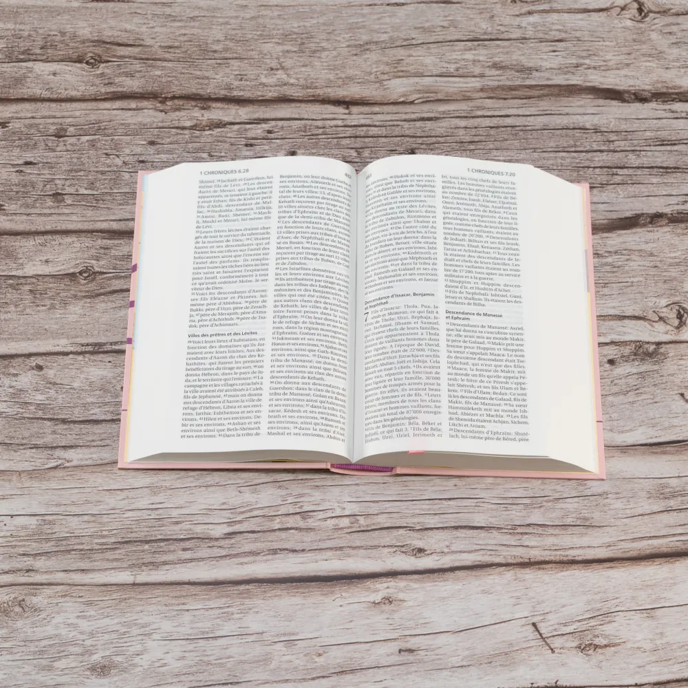 BIBLE SEGOND 21 COMPACTE RIGIDE SKIVERTEX ROSE GUIMAUVE - NOUVEAU PAPIER