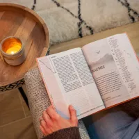 BIBLE SEGOND 21 GROS CARACTERES RIGIDE ILLUSTREE ROSE