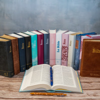 BIBLE SEGOND 21 COMPACTE "PREMIUM STYLE" SOUPLE MOTIF FEUILLES FERMETURE ECLAIR