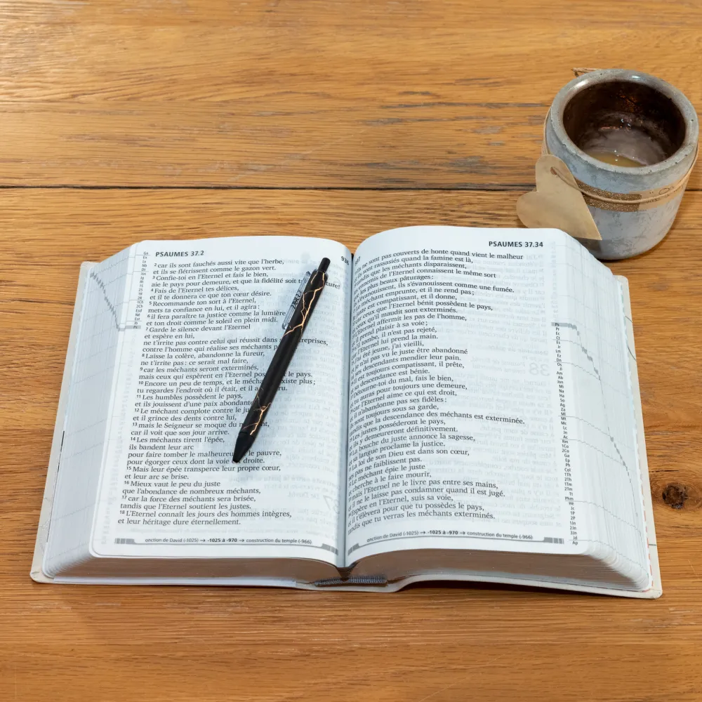 BIBLE SEGOND 21 GROS CARACTERES SOUPLE TOILE BLANCHE