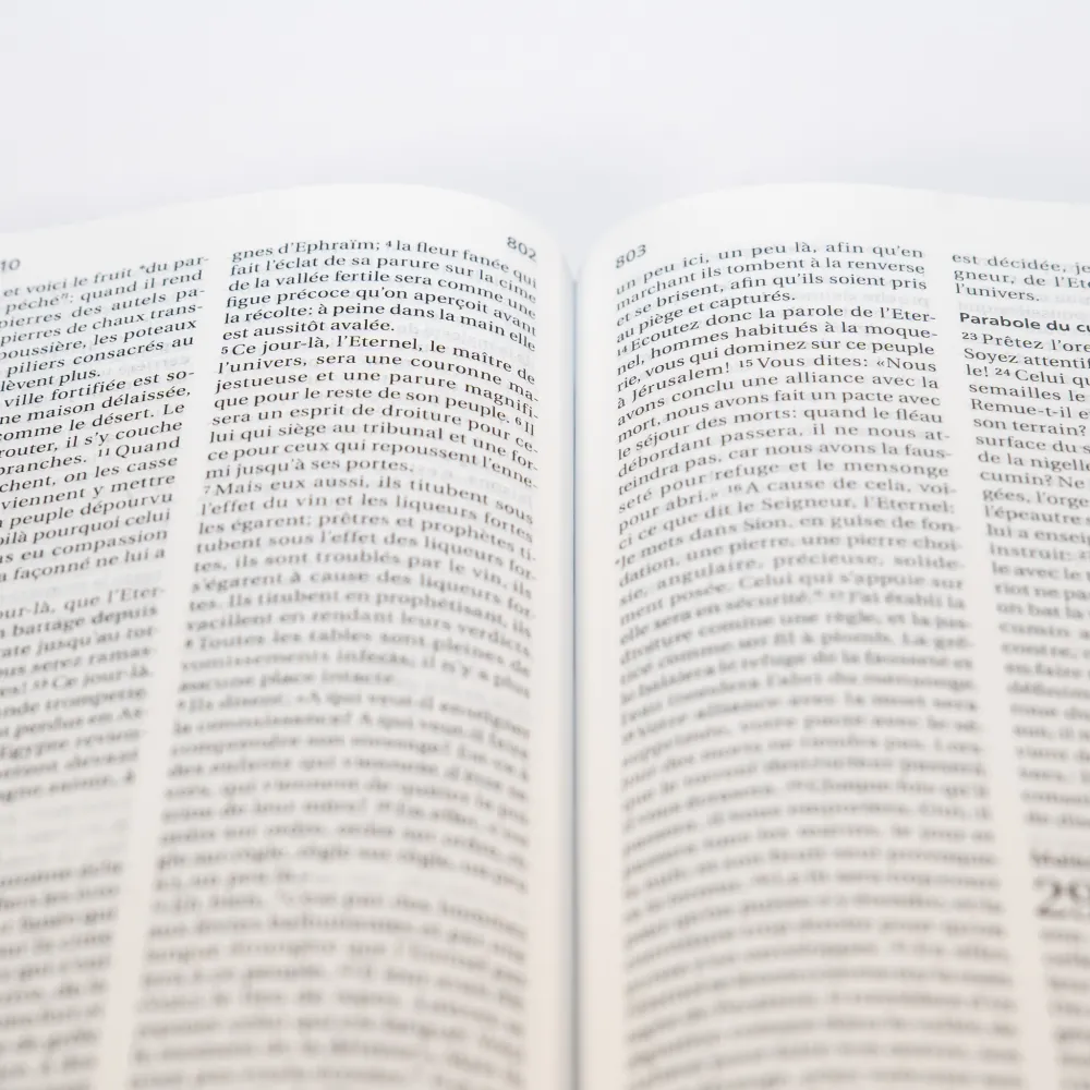 BIBLE SEGOND 21 COMPACTE "PREMIUM STYLE" SEMI-RIGIDE CUIR ANTHRACITE AVEC TRANCHES DOREES