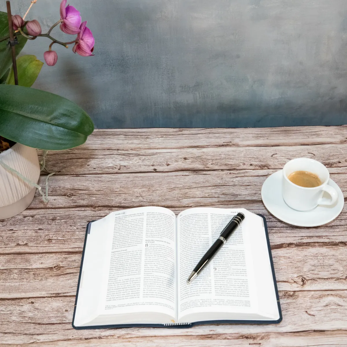 BIBLE SEGOND 21 COMPACTE "PREMIUM STYLE" SOUPLE TOILE ANTHRACITE