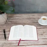 BIBLE SEGOND 21 COMPACTE RIGIDE LAMINE MOTIF PRUNE