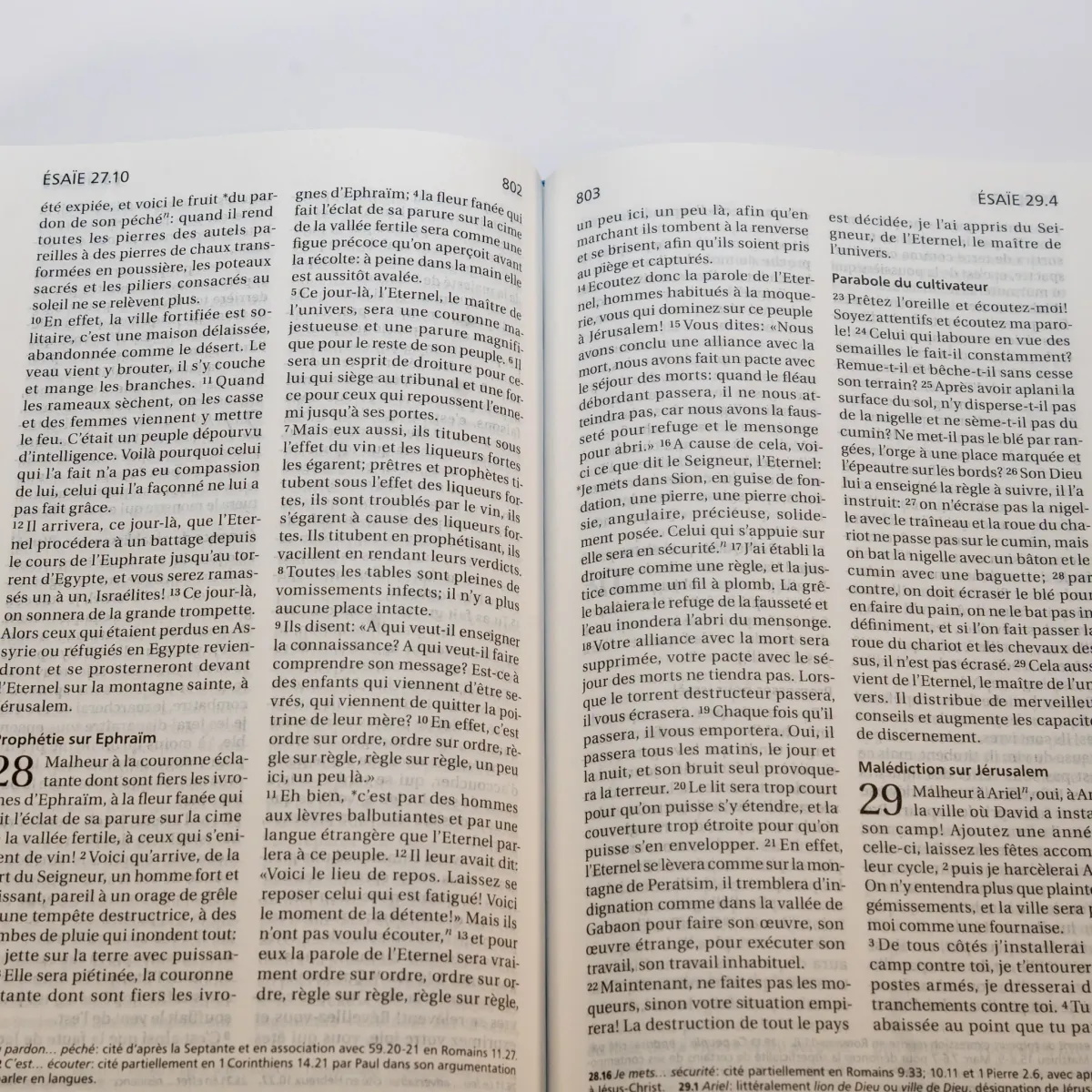 BIBLE SEGOND 21 COMPACTE "PREMIUM STYLE" SOUPLE MOTIF FEUILLES FERMETURE ECLAIR