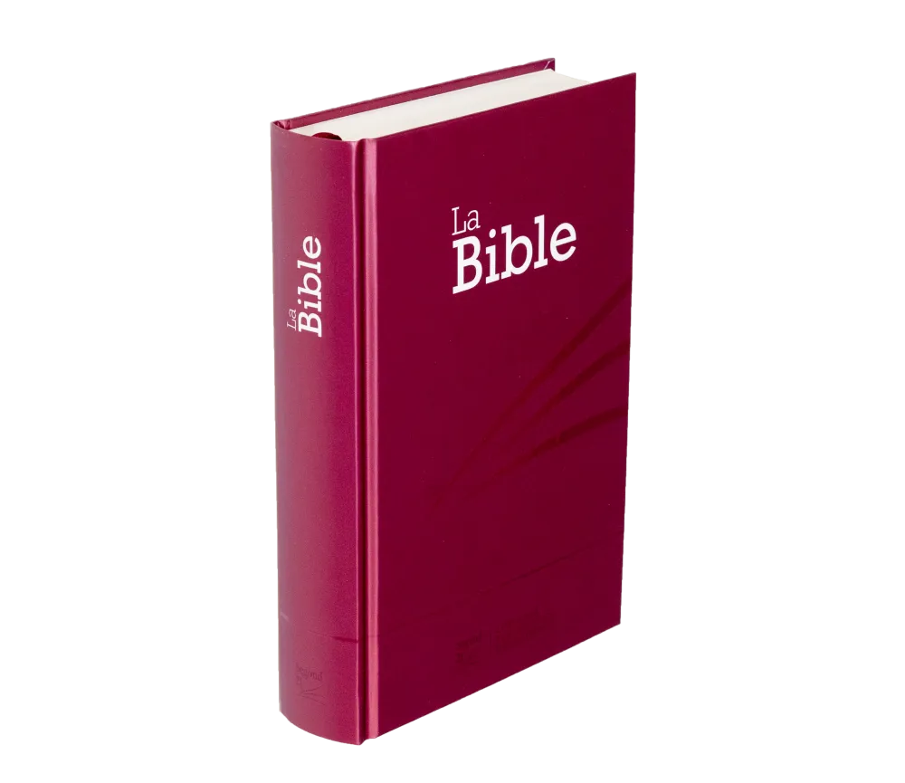 BIBLE SEGOND 21 COMPACTE RIGIDE LAMINE MOTIF PRUNE