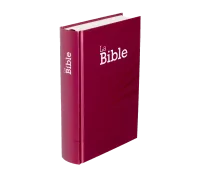 BIBLE SEGOND 21 COMPACTE RIGIDE LAMINE MOTIF PRUNE