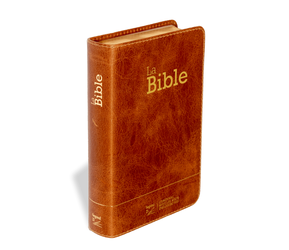 BIBLE SEGOND 21 COMPACTE "PREMIUM STYLE" SEMI-RIGIDE CUIR BRUN AVEC TRANCHES DOREES