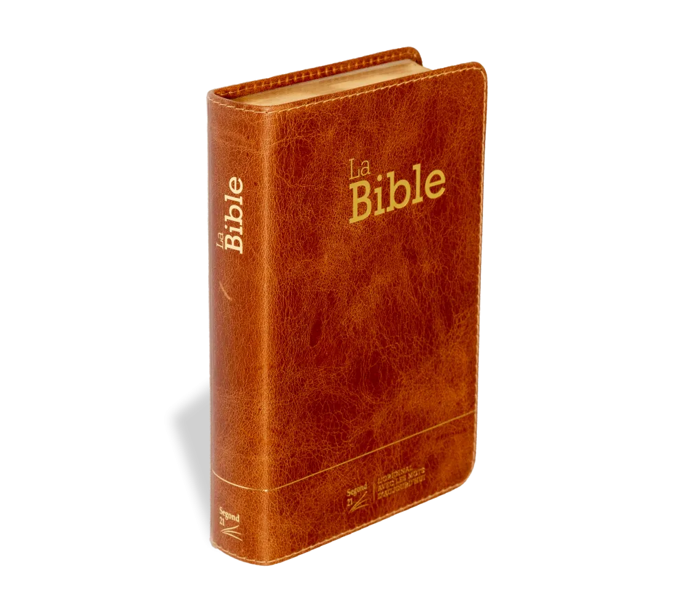 BIBLE SEGOND 21 COMPACTE "PREMIUM STYLE" SEMI-RIGIDE CUIR BRUN AVEC TRANCHES DOREES