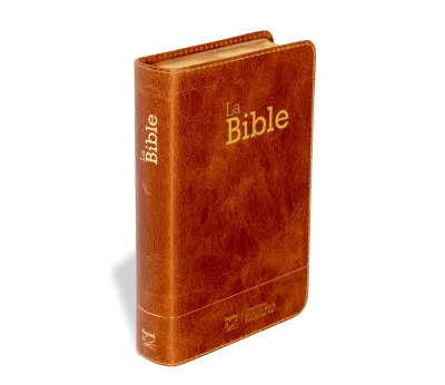 BIBLE SEGOND 21 COMPACTE "PREMIUM STYLE" SEMI-RIGIDE CUIR BRUN AVEC TRANCHES DOREES