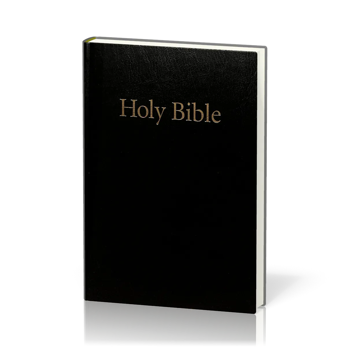 BIBLE ANGL. 25A RIGIDE NOIRE
