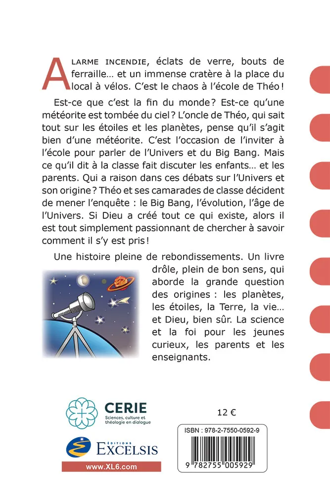 JOURNAL TOP SECRET DE THEO (LE)