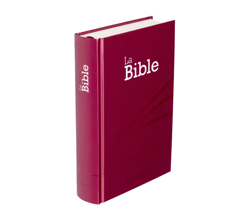 BIBLE SEGOND 21 COMPACTE RIGIDE LAMINE MOTIF PRUNE