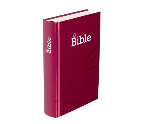 BIBLE SEGOND 21 COMPACTE RIGIDE LAMINE MOTIF PRUNE