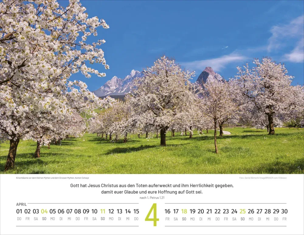 CALENDRIER BOL PAYSAGES SUISSES FRANCAIS