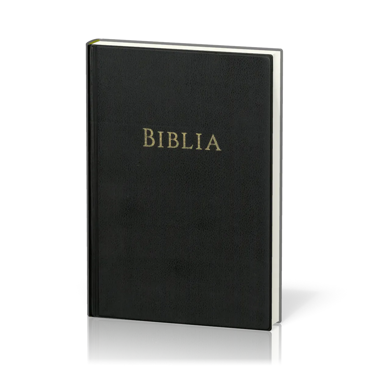ROUMAIN BIBLE RIGIDE SIMILI NOIR AVEC PARALLELES
