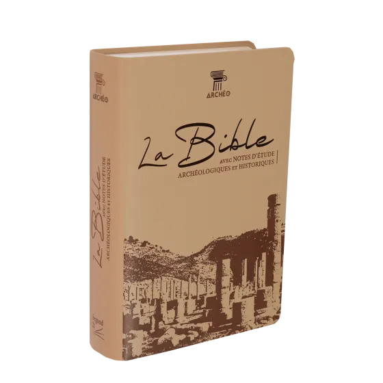 BIBLE SEGOND 21 ARCHEOLOGIQUE SOUPLE VIVELLA BRUN