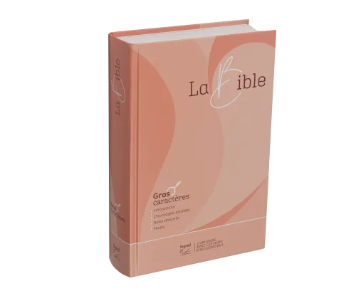 BIBLE SEGOND 21 GROS CARACTERES RIGIDE ILLUSTREE ROSE