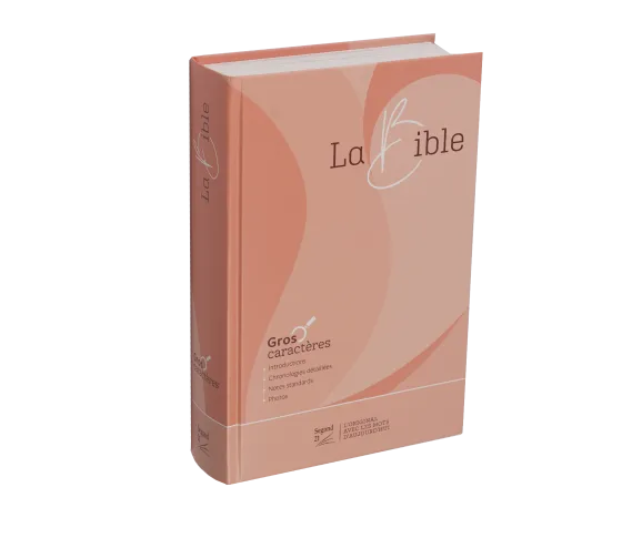 BIBLE SEGOND 21 GROS CARACTERES RIGIDE ILLUSTREE ROSE