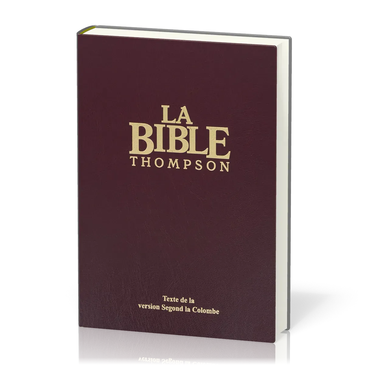 BIBLE COLOMBE THOMPSON RIGIDE ONGLETS GRENAT