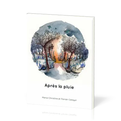 APRES LA PLUIE