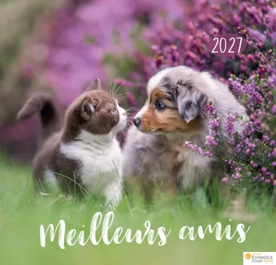 CALENDRIER EPT MEILLEURS AMIS