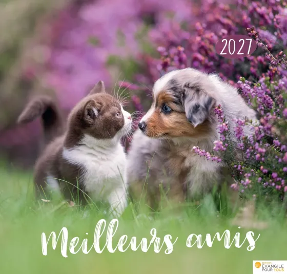 CALENDRIER EPT MEILLEURS AMIS