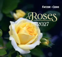 CALENDRIER GBK ROSES - A POSER