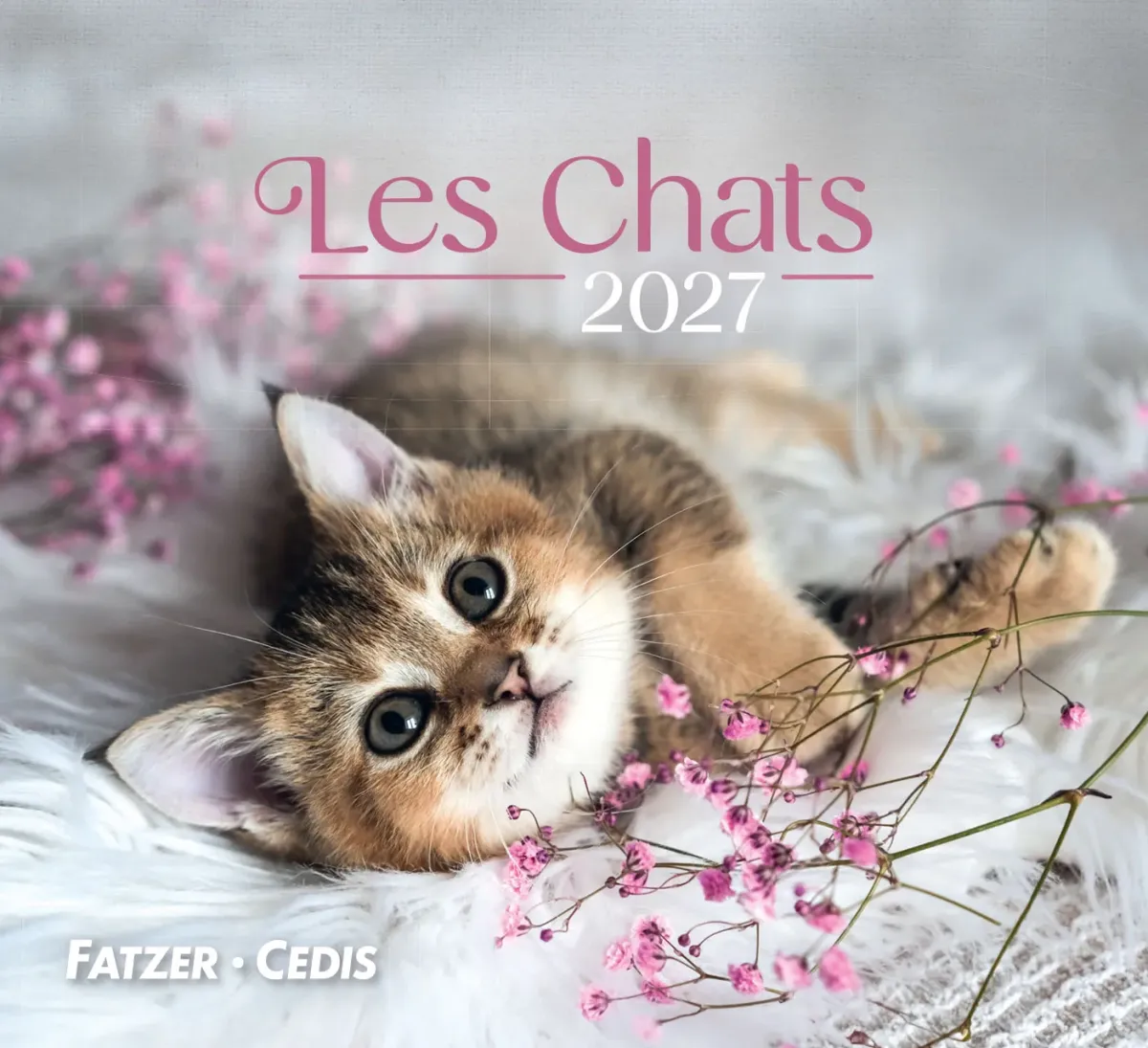 CALENDRIER GBK LES CHATS - A POSER