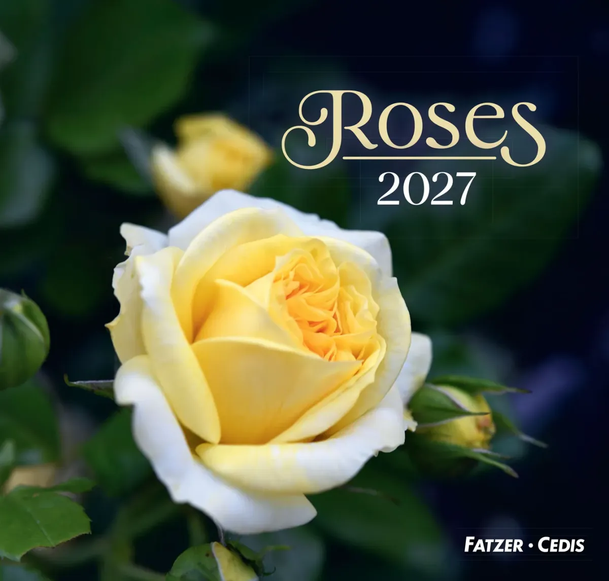 CALENDRIER GBK ROSES - MURAL