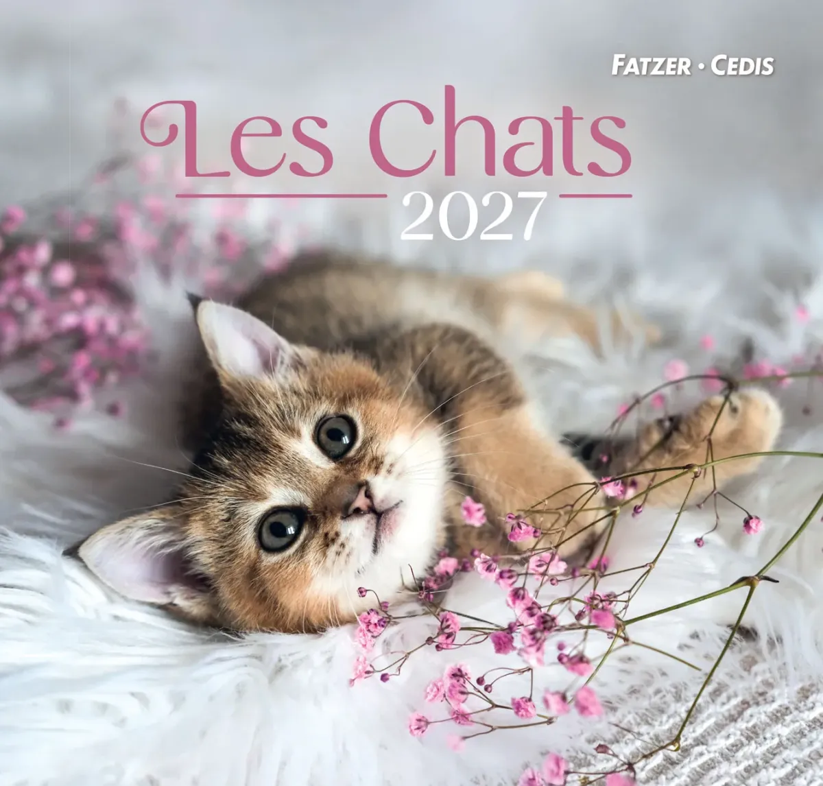 CALENDRIER GBK LES CHATS - MURAL