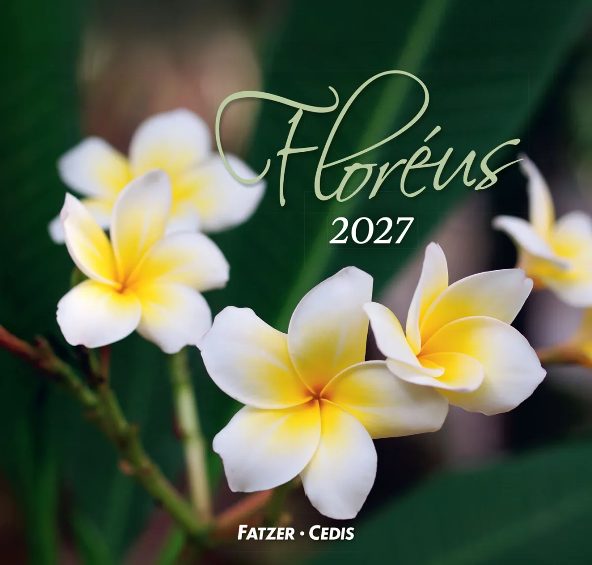 CALENDRIER CED FLOREUS
